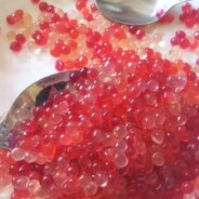 Popping Boba